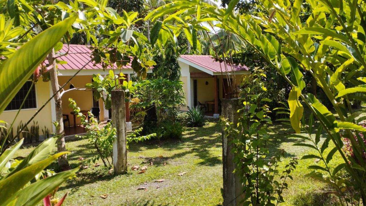 Acacia'S Cottages With Starlink Wifi Mambajao 外观 照片