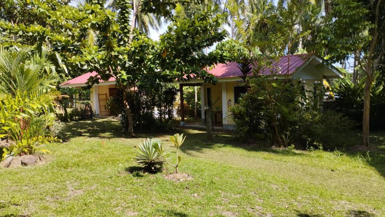 Acacia'S Cottages With Starlink Wifi Mambajao 外观 照片