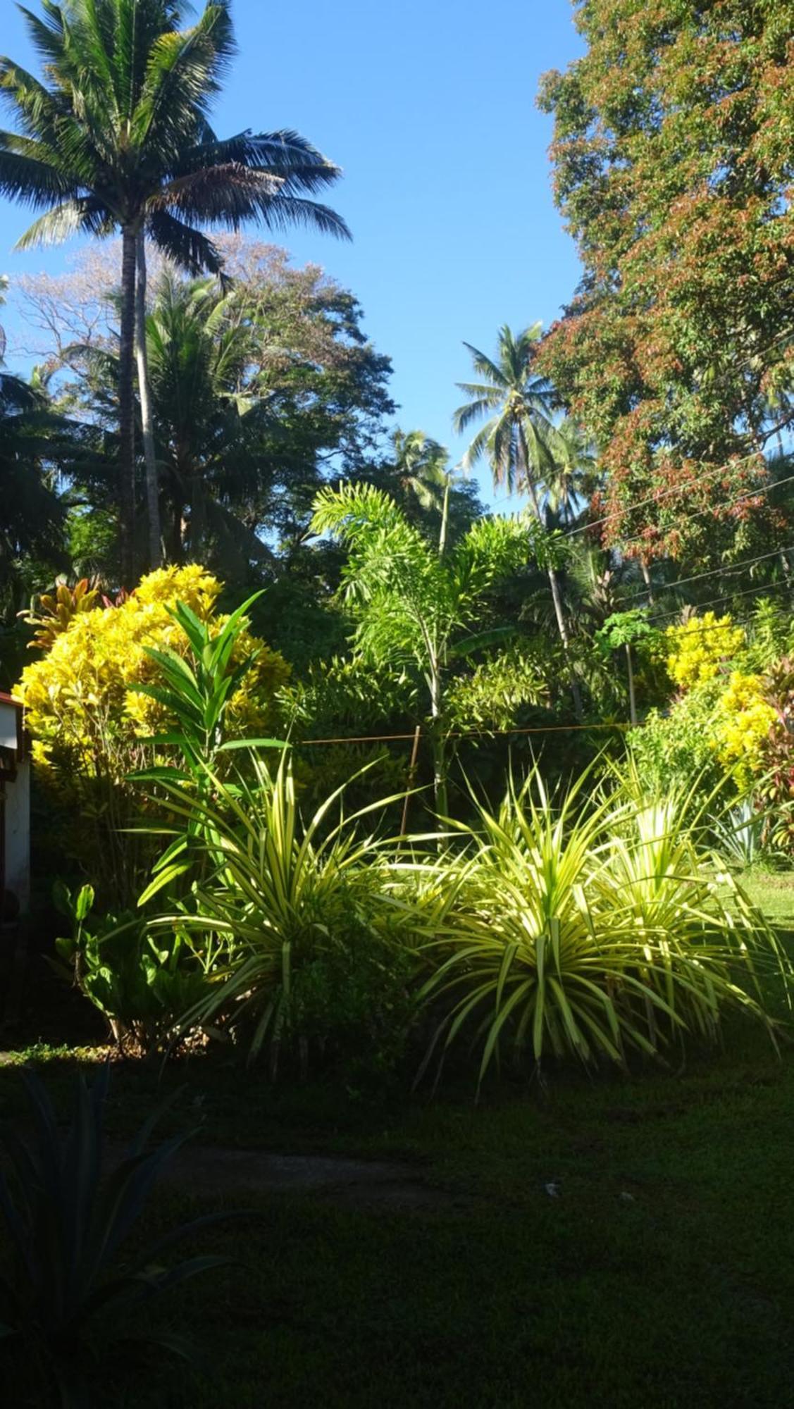 Acacia'S Cottages With Starlink Wifi Mambajao 外观 照片